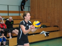 Volleyballturnier 2014_23