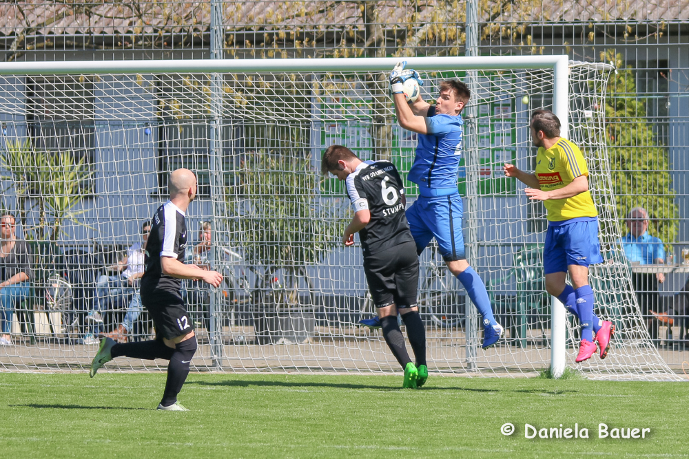 TV Spöck - VfB Knielingen_8
