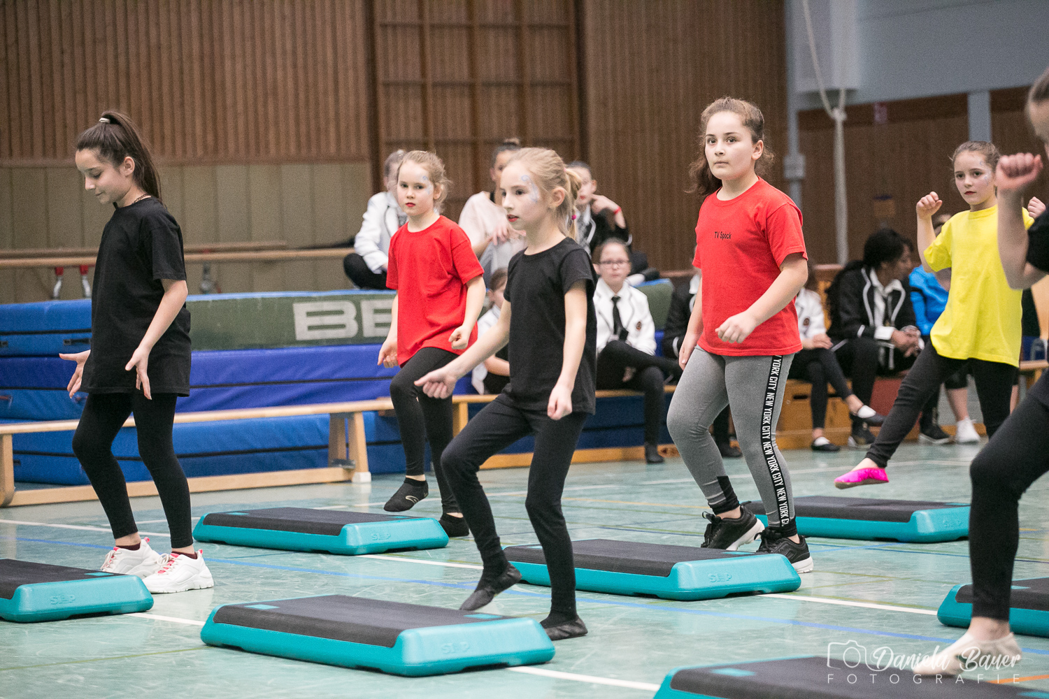 Variationen am Stepp_16