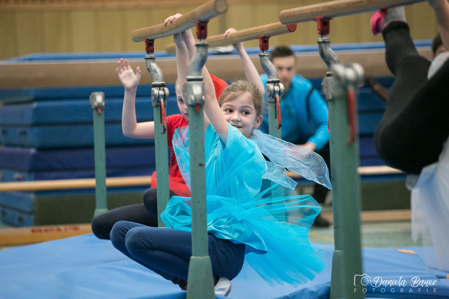 Kleine Feen in den Zweigen_13