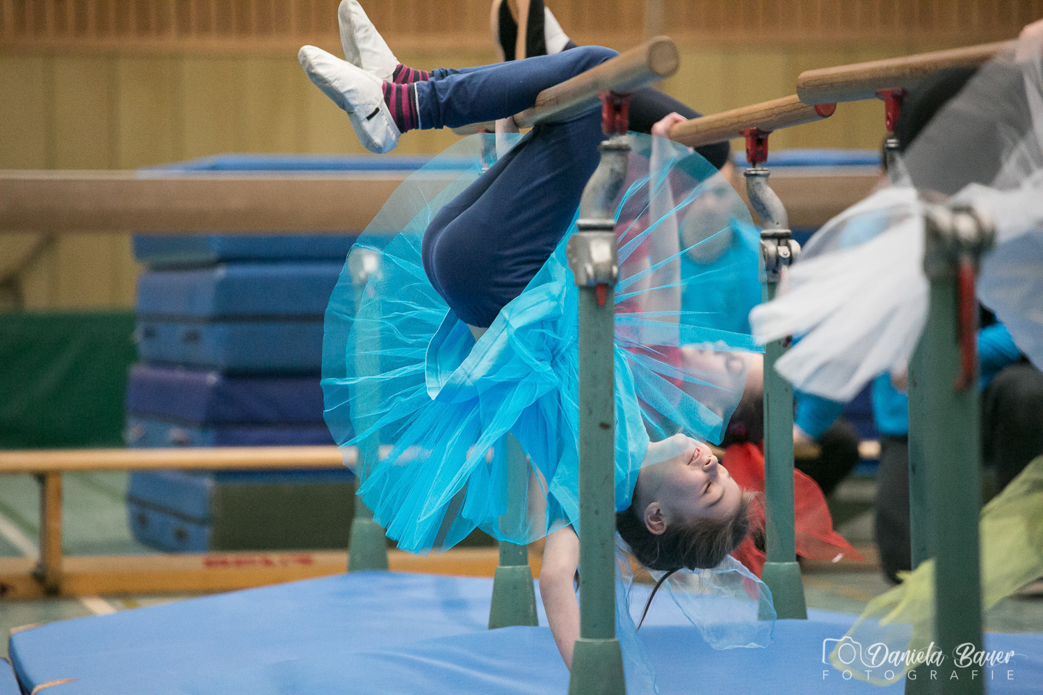 Kleine Feen in den Zweigen_16