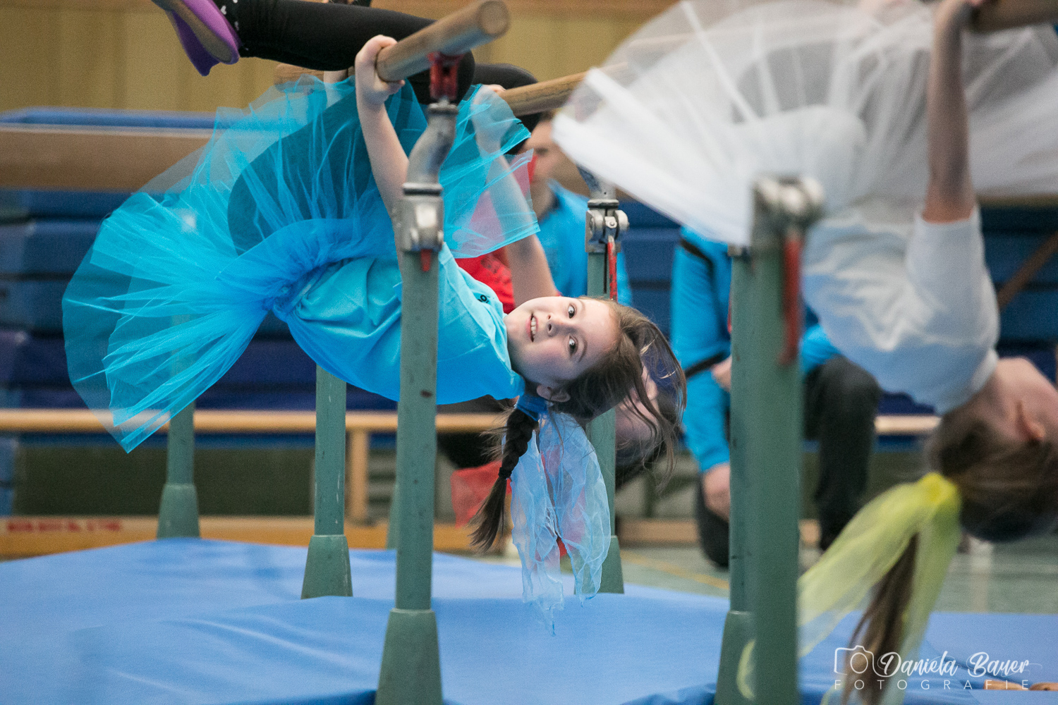 Kleine Feen in den Zweigen_19