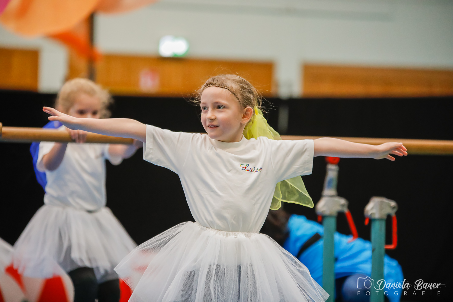 Kleine Feen in den Zweigen_22