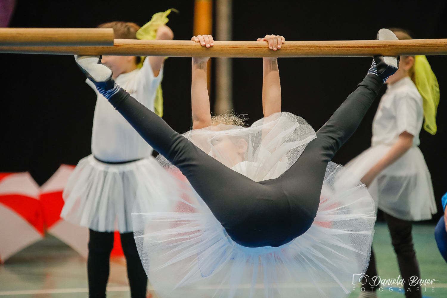 Kleine Feen in den Zweigen_23