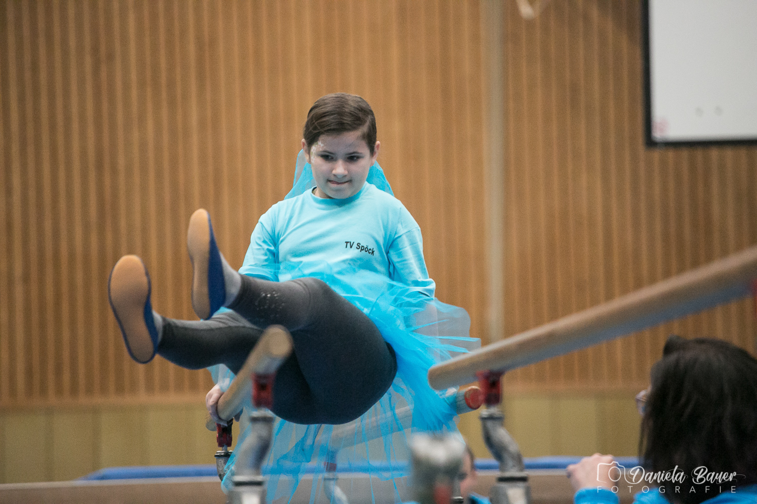 Kleine Feen in den Zweigen_27