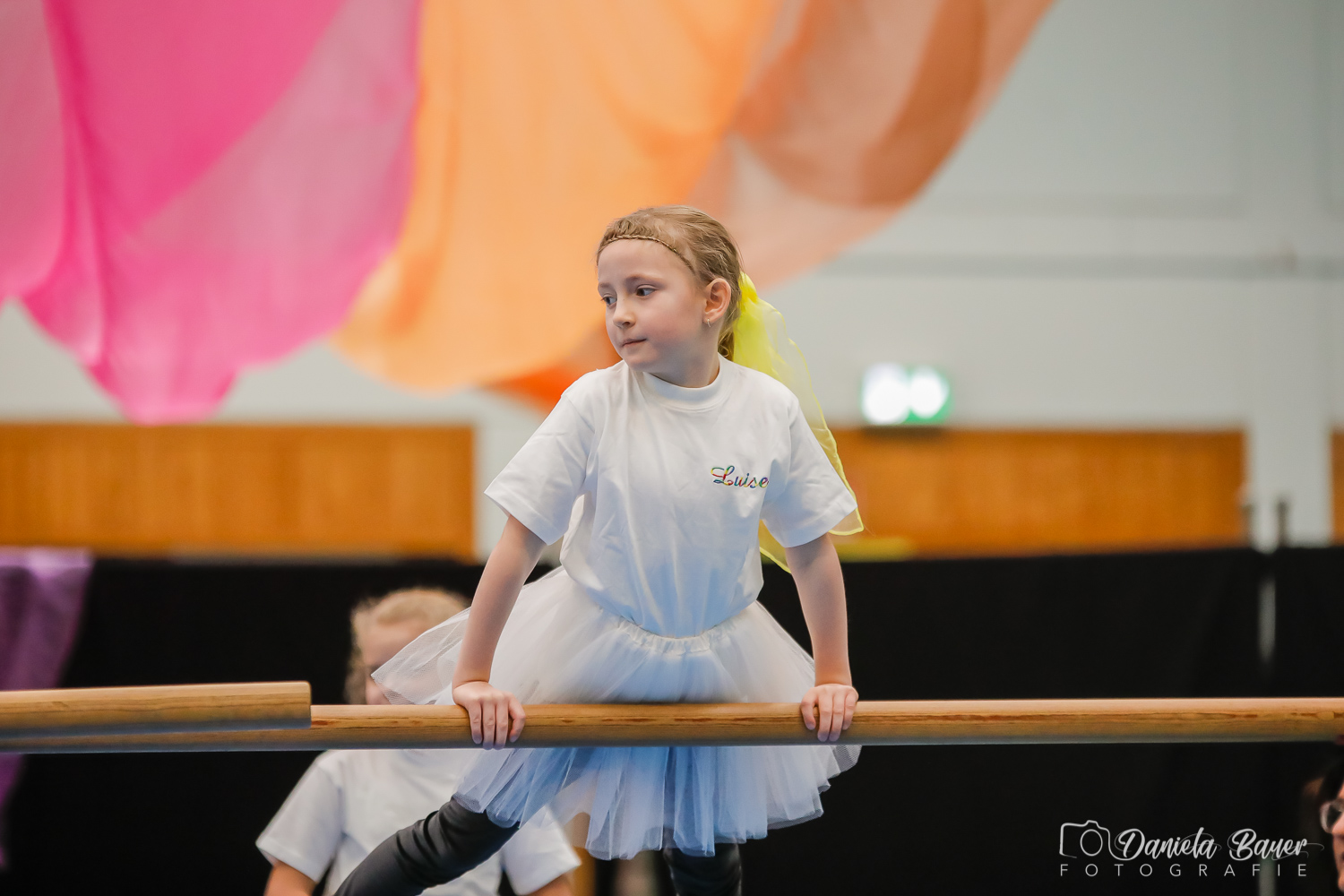 Kleine Feen in den Zweigen_28