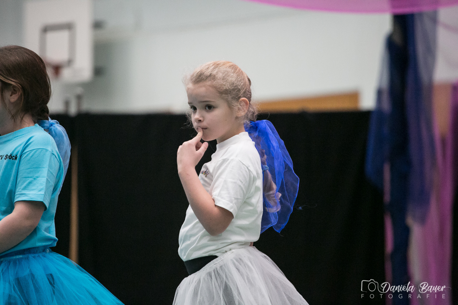 Kleine Feen in den Zweigen_30