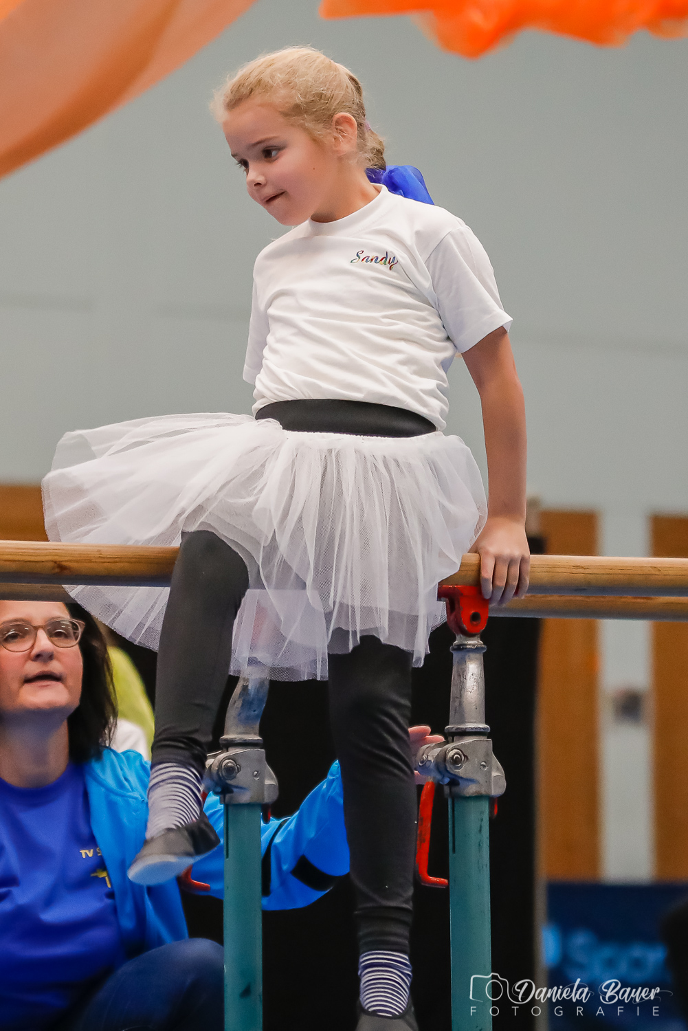 Kleine Feen in den Zweigen_45