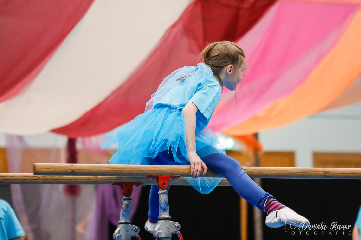 Kleine Feen in den Zweigen_48