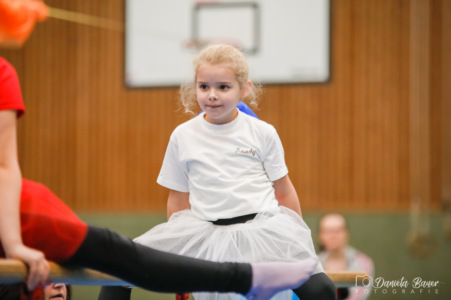 Kleine Feen in den Zweigen_51